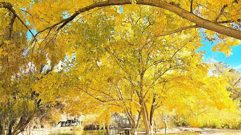 Floyd Lamb Park - Las Vegas, NV