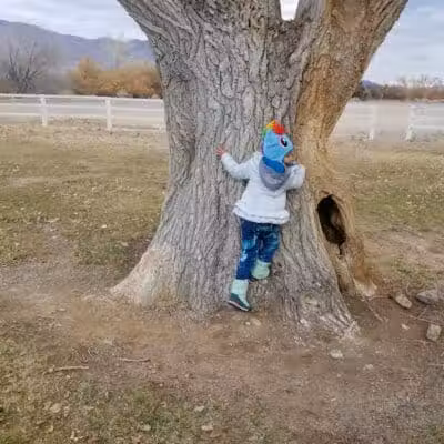 Floyd Lamb Park - Las Vegas, NV