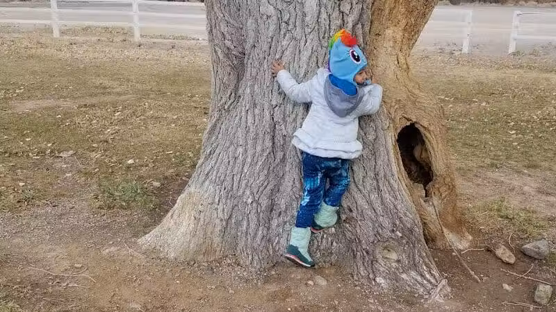 Floyd Lamb Park - Las Vegas, NV