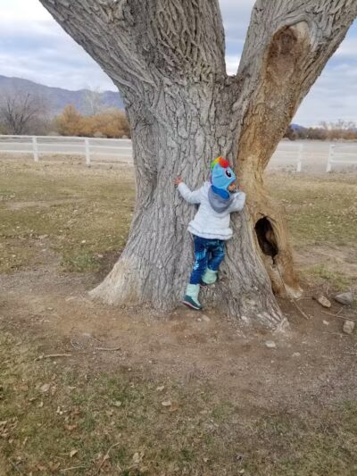 Floyd Lamb Park - Las Vegas, NV