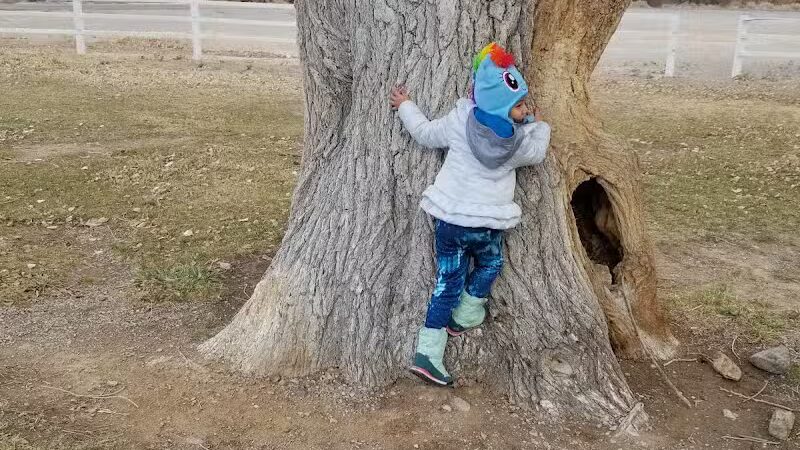 Floyd Lamb Park - Las Vegas, NV