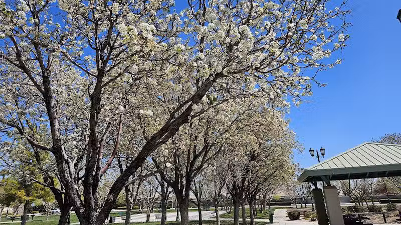 Gardens Park - Las Vegas, NV