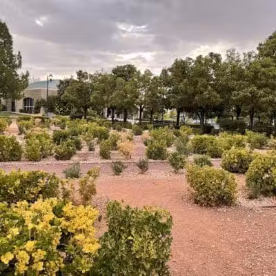 Gardens Park - Las Vegas, NV