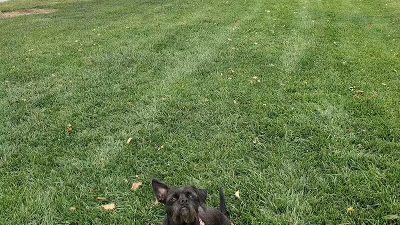 Gardens Park - Las Vegas, NV