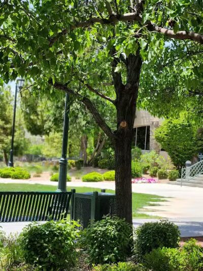 Gardens Park - Las Vegas, NV