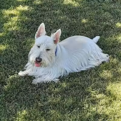 Grapevine Springs Park - Las Vegas, NV