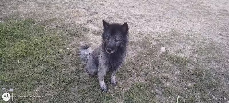 Grapevine Springs Park - Las Vegas, NV