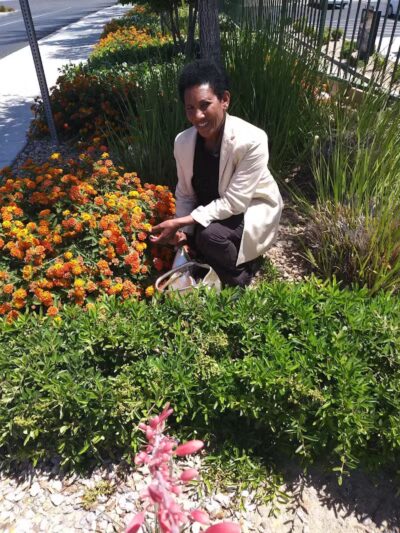 Grass Park - Las Vegas, NV