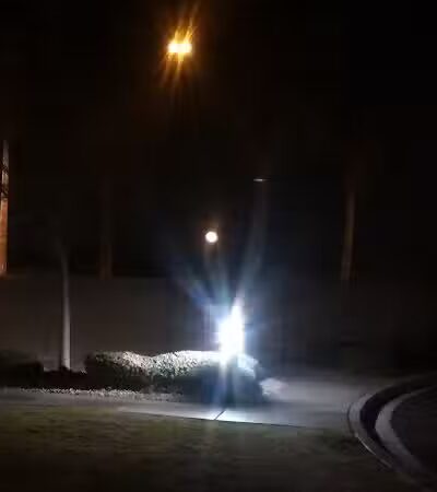 Grass Park - Las Vegas, NV