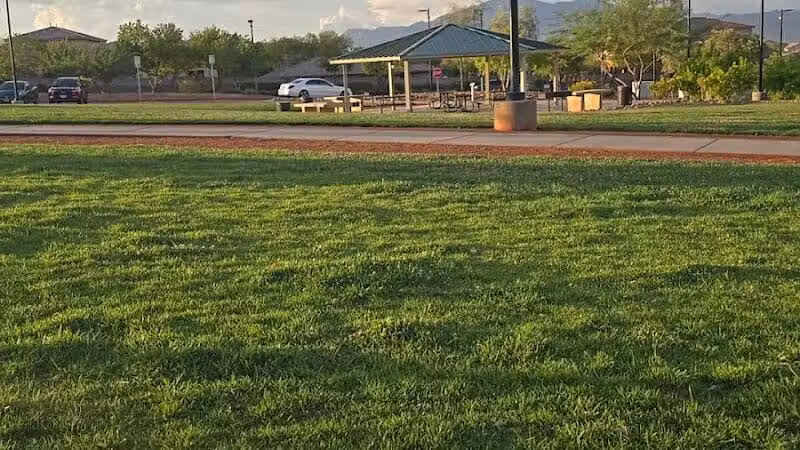 Huckleberry Park - Las Vegas, NV