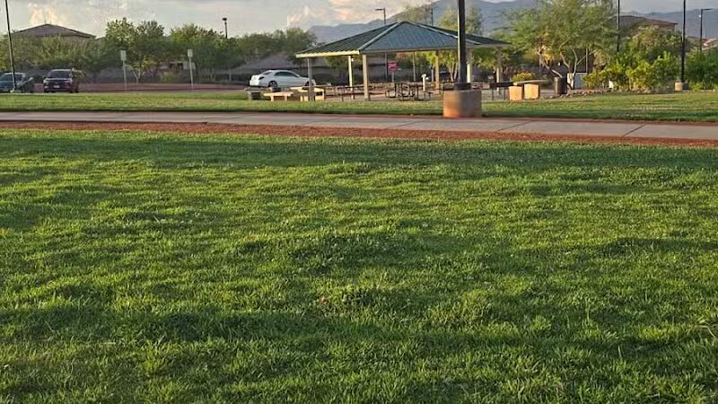 Huckleberry Park - Las Vegas, NV