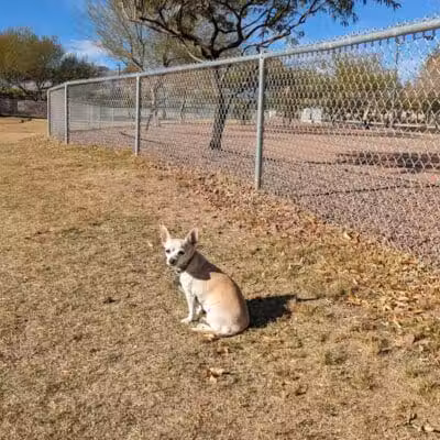 Huckleberry Park - Las Vegas, NV