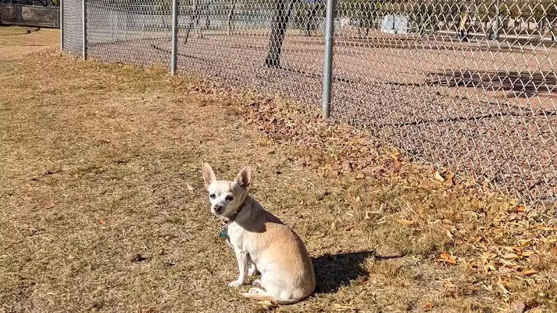 Huckleberry Park - Las Vegas, NV