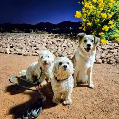 Huckleberry Park - Las Vegas, NV