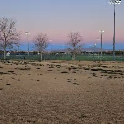 Kellogg Zaher Dog Park - Las Vegas, NV