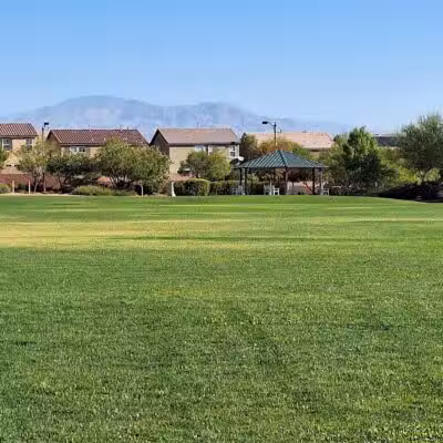 Knickerbocker Park - Las Vegas, NV