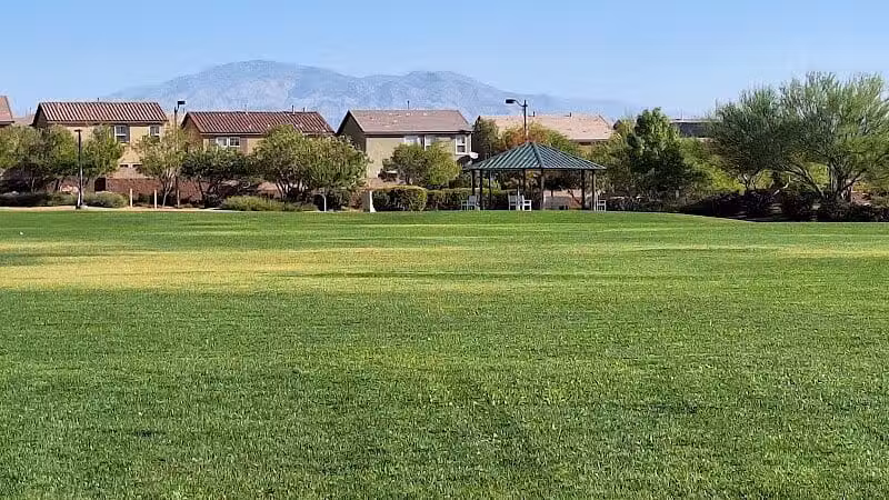 Knickerbocker Park - Las Vegas, NV