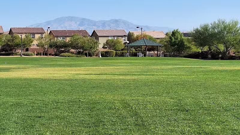 Knickerbocker Park - Las Vegas, NV