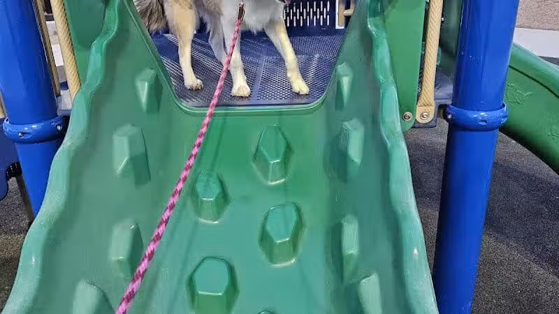 Knickerbocker Park - Las Vegas, NV