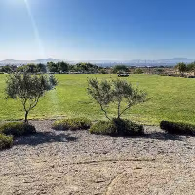 Knickerbocker Park - Las Vegas, NV