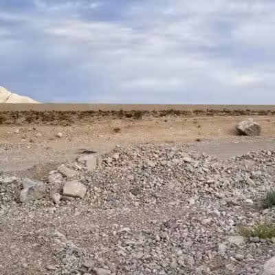 Knickerbocker Park - Las Vegas, NV