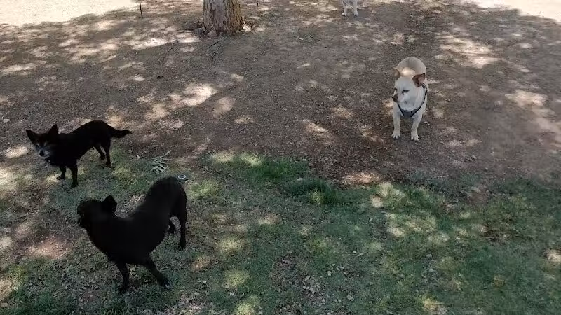 Knickerbocker Park - Las Vegas, NV