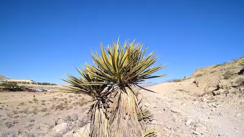 Lone Mountain Trailhead - Las Vegas, NV