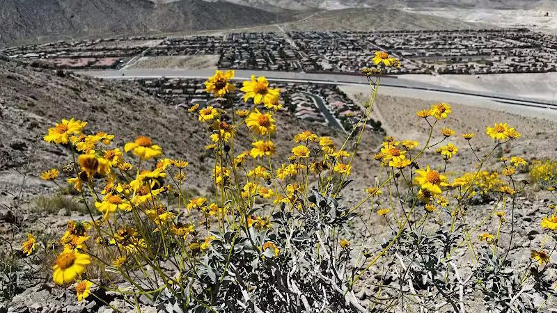 Lone Mountain Trailhead - Las Vegas, NV