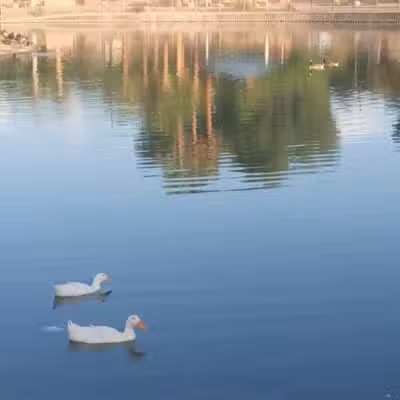 Lorenzi Park - Las Vegas, NV
