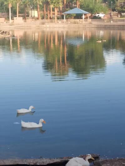 Lorenzi Park - Las Vegas, NV