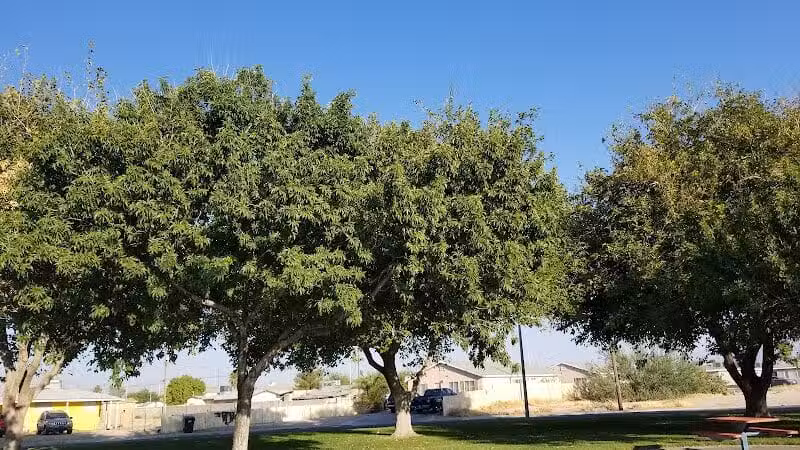 Lubertha Johnson Park - Las Vegas, NV