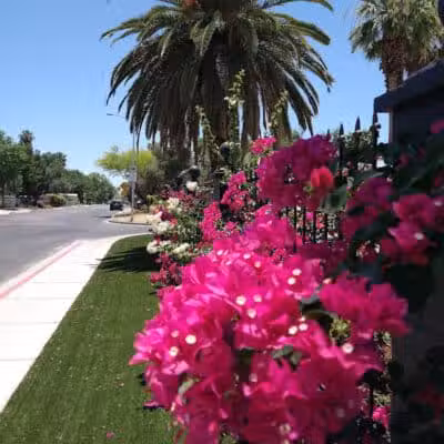 Mary Dutton Park - Las Vegas, NV