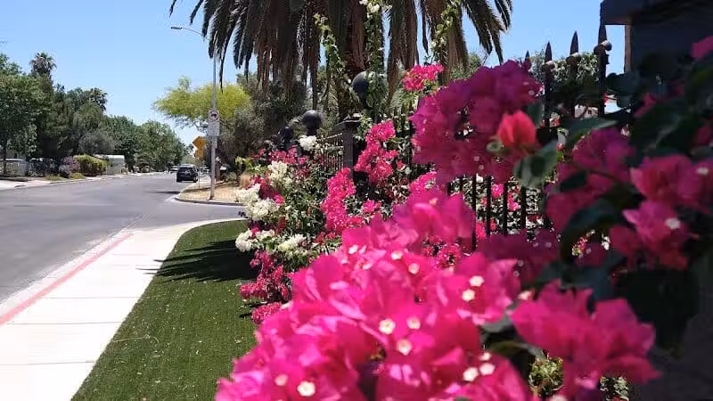 Mary Dutton Park - Las Vegas, NV