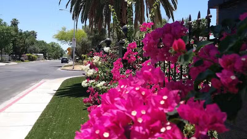 Mary Dutton Park - Las Vegas, NV