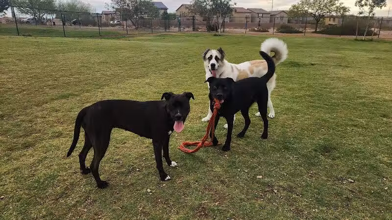 Mountains Edge Dog Park - Las Vegas, NV