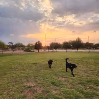 Mountains Edge Dog Park - Las Vegas, NV