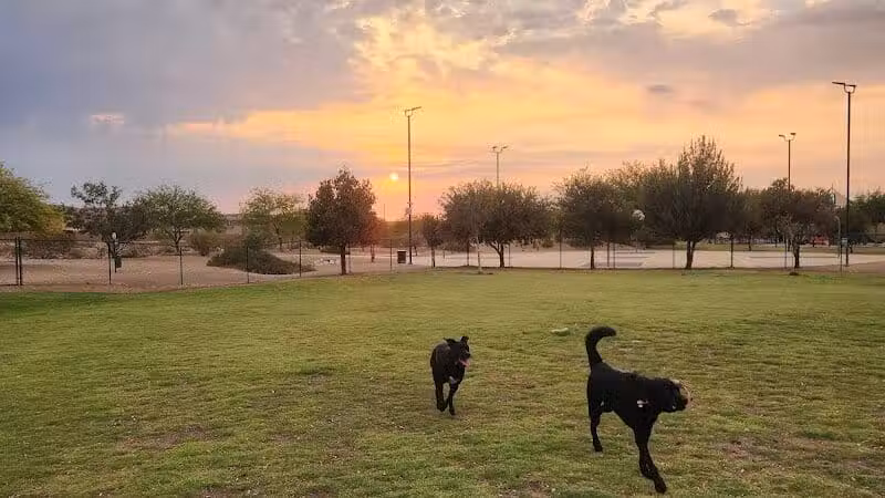 Mountains Edge Dog Park - Las Vegas, NV