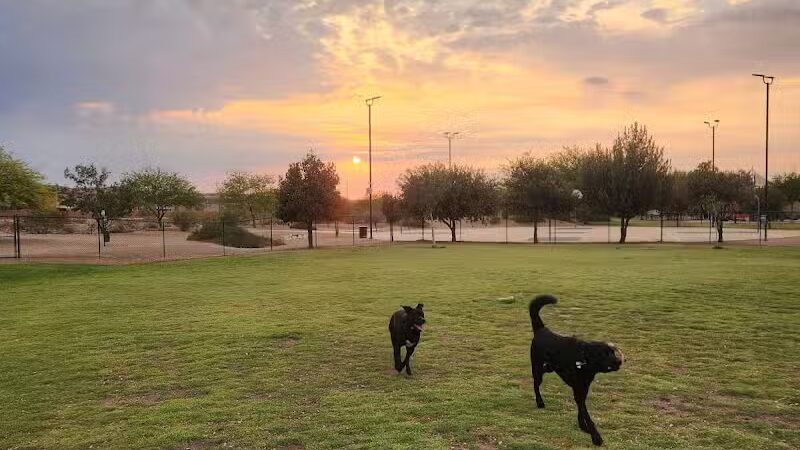 Mountains Edge Dog Park - Las Vegas, NV