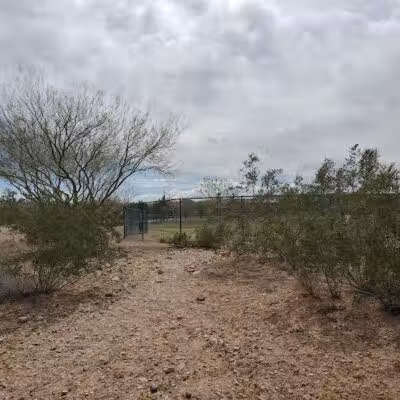 Mountains Edge Dog Park - Las Vegas, NV