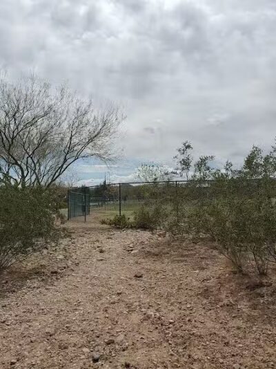 Mountains Edge Dog Park - Las Vegas, NV