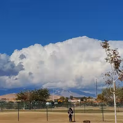 Mountains Edge Dog Park - Las Vegas, NV