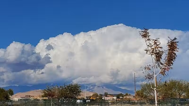 Mountains Edge Dog Park - Las Vegas, NV