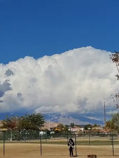 Mountains Edge Dog Park - Las Vegas, NV