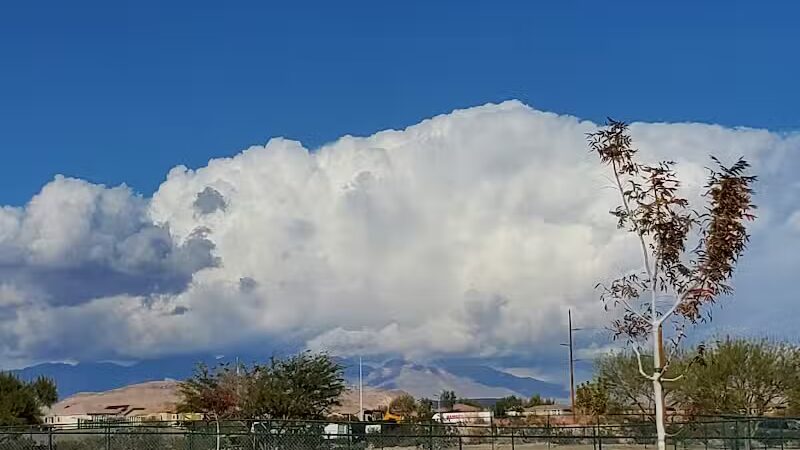 Mountains Edge Dog Park - Las Vegas, NV