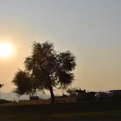 Nellis Meadows Park - Las Vegas, NV