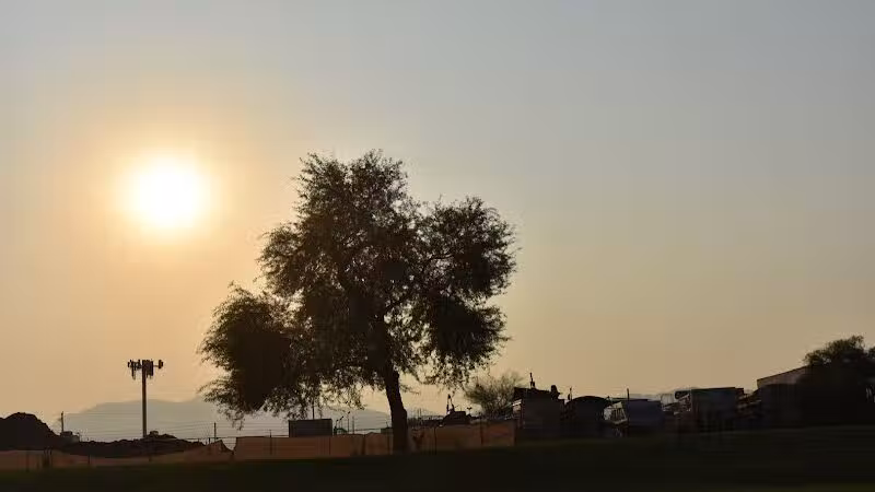 Nellis Meadows Park - Las Vegas, NV