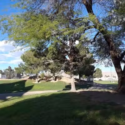 Nellis Meadows Park - Las Vegas, NV