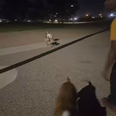 Nellis Meadows Park - Las Vegas, NV