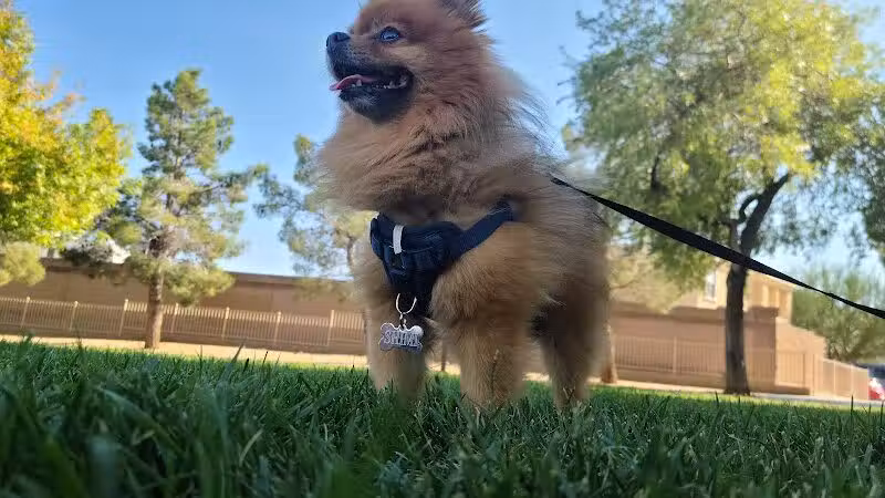 Nevada Trails Park - Las Vegas, NV