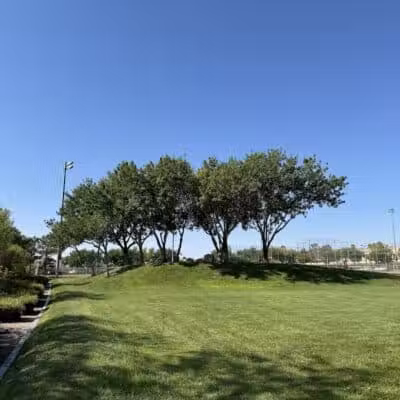 Oxford Park - Las Vegas, NV